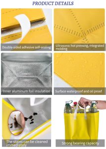 nonwoven insulated bag
