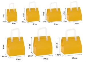 nonwoven insulated bag