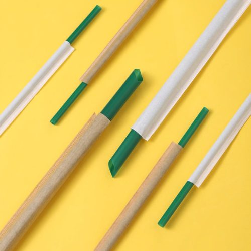 Green Plastic Straw for 500ml 700ml 1000ml Tall Cup Long Plastic pp Straw