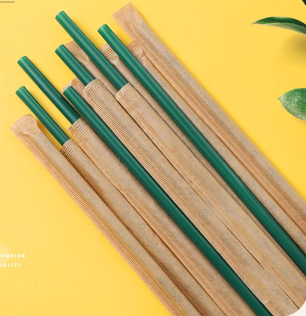 Green Plastic Straw for 500ml 700ml 1000ml Tall Cup Long Plastic pp Straw